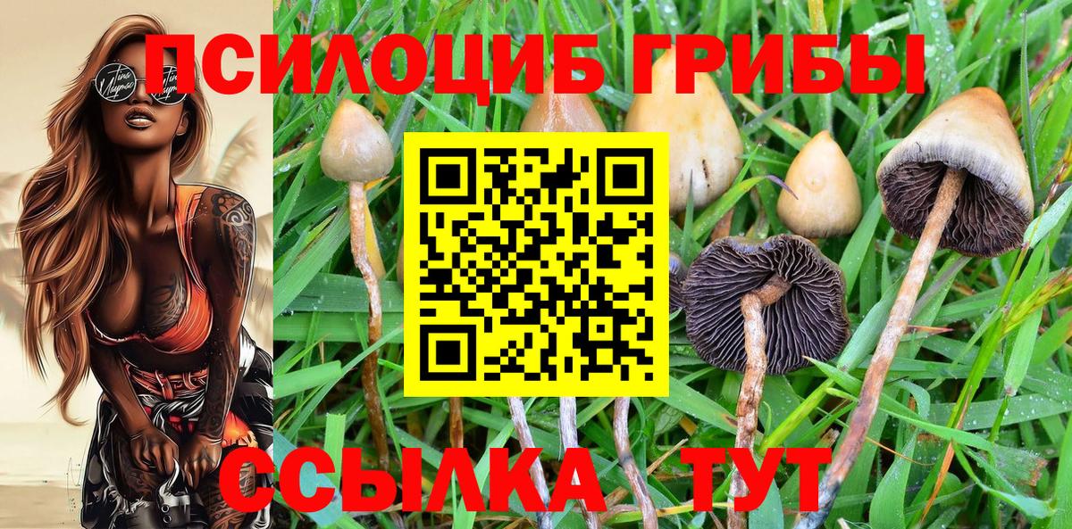 Галлюциногенные грибы Magic Shrooms  Псилоцибиновые грибы GOLDEN TEACHER  Вход с VPN  Севастополь 