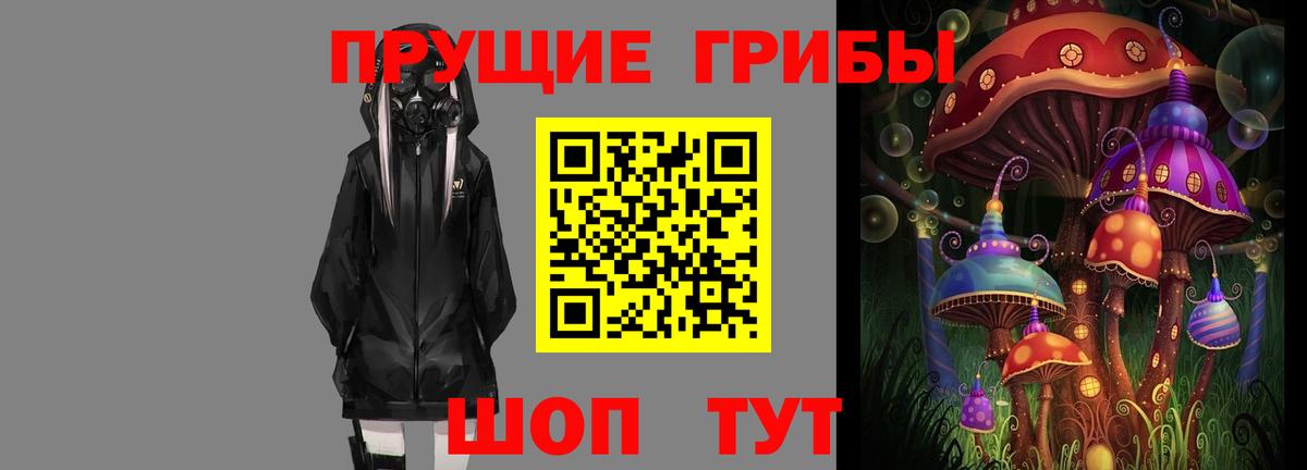 Псилоцибиновые грибы GOLDEN TEACHER Севастополь